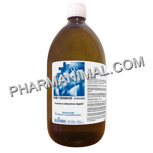 DRAINOSYL  	fl/1 l    	gtt buv